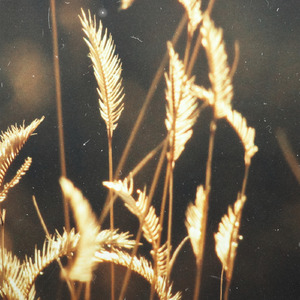 小乔裸体被❌叫爽
