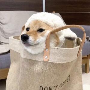 小乔裸体被❌叫爽
