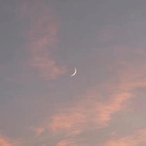 小乔裸体被❌叫爽
